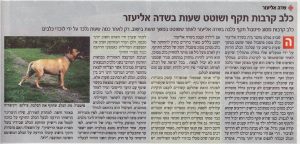 כתבה במקומון על עורך דין אוהד שמואלי: כלב קרבות תקף ושוטט שעות בשדה אליעזר
