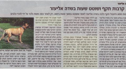 כתבה במקומון על עורך דין אוהד שמואלי: כלב קרבות תקף ושוטט שעות בשדה אליעזר