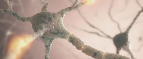 גרפיקת נוירונים