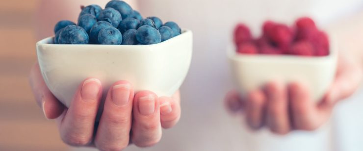 ידיים מציעות שני סוגי פירות