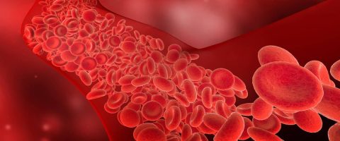 זכויות בגין מחלת כלי דם פריפריים (PVD)